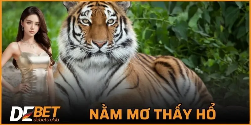 Nằm Mơ Thấy Hổ